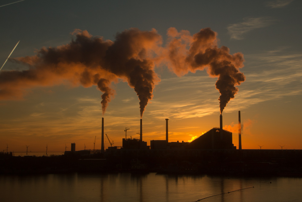 Carbon Markets Explained: The Business Opportunity in Climate Compliance